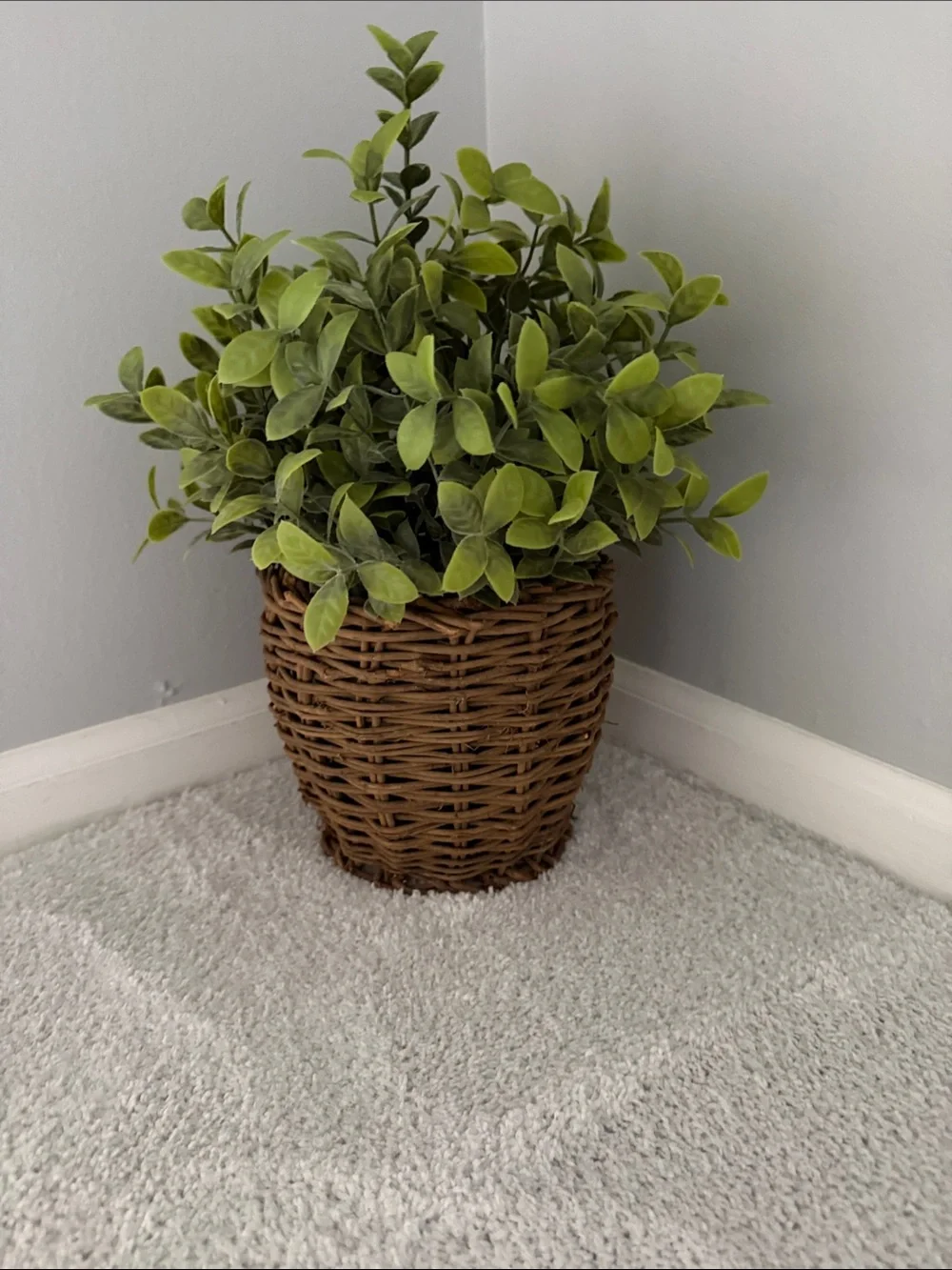 Green Faux Plant in Woven Brown Basket - Home Accents - about 18 inches tall